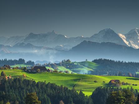 Der Verein Spitex Region Lueg